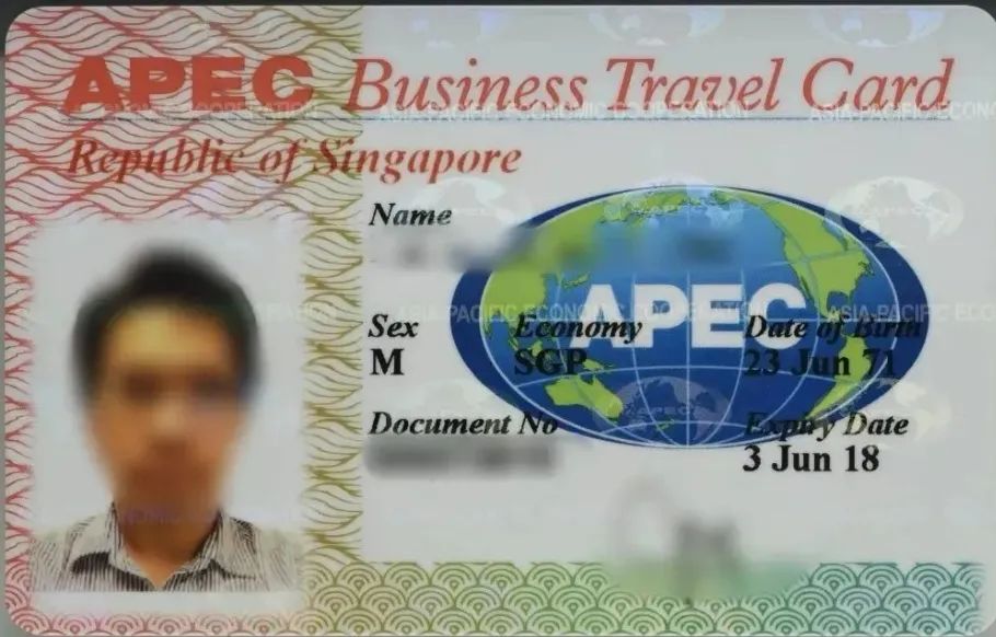 Foreigner Denied Entry with DIY Documents at Border - AnyVisa